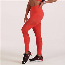 Lupo-71364 Calca Legging Pomodoro