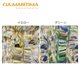 Cia Maritima-53040 