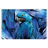 Bali Blue Canga Arara Azul