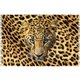 Bali Blue Canga Face Panther