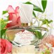 Cod.759 JEANNE ARTHES Cassandra Rose Jasmin Edp 100ml
